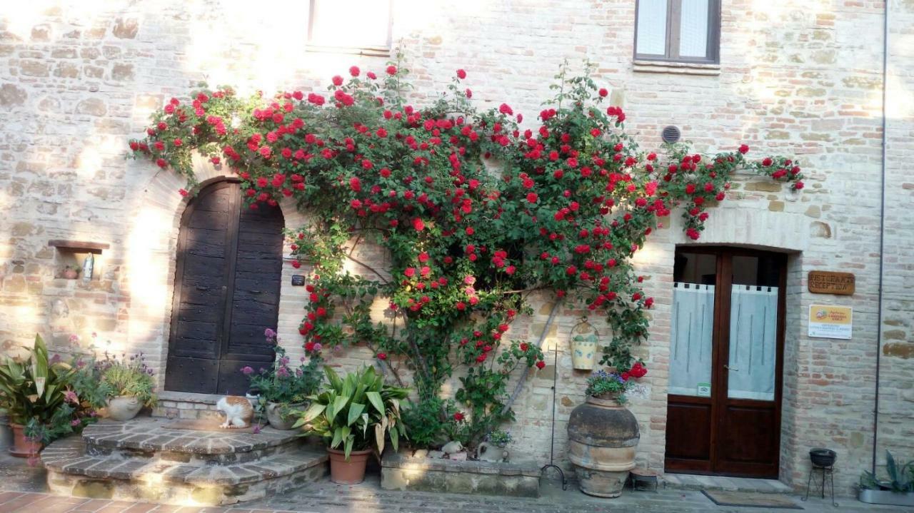 Agriturismo Il Podere Hotel Petrignano Exterior photo